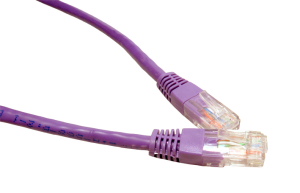 0.25M CAT6 UTP Network Cable Violet