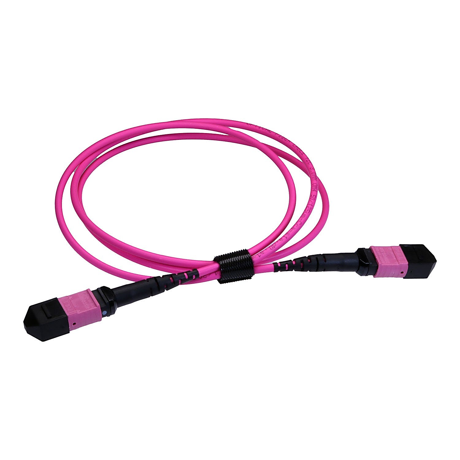 2m OM4 MPO-MPO 12 Fibre Trunk Cable Erika Violet