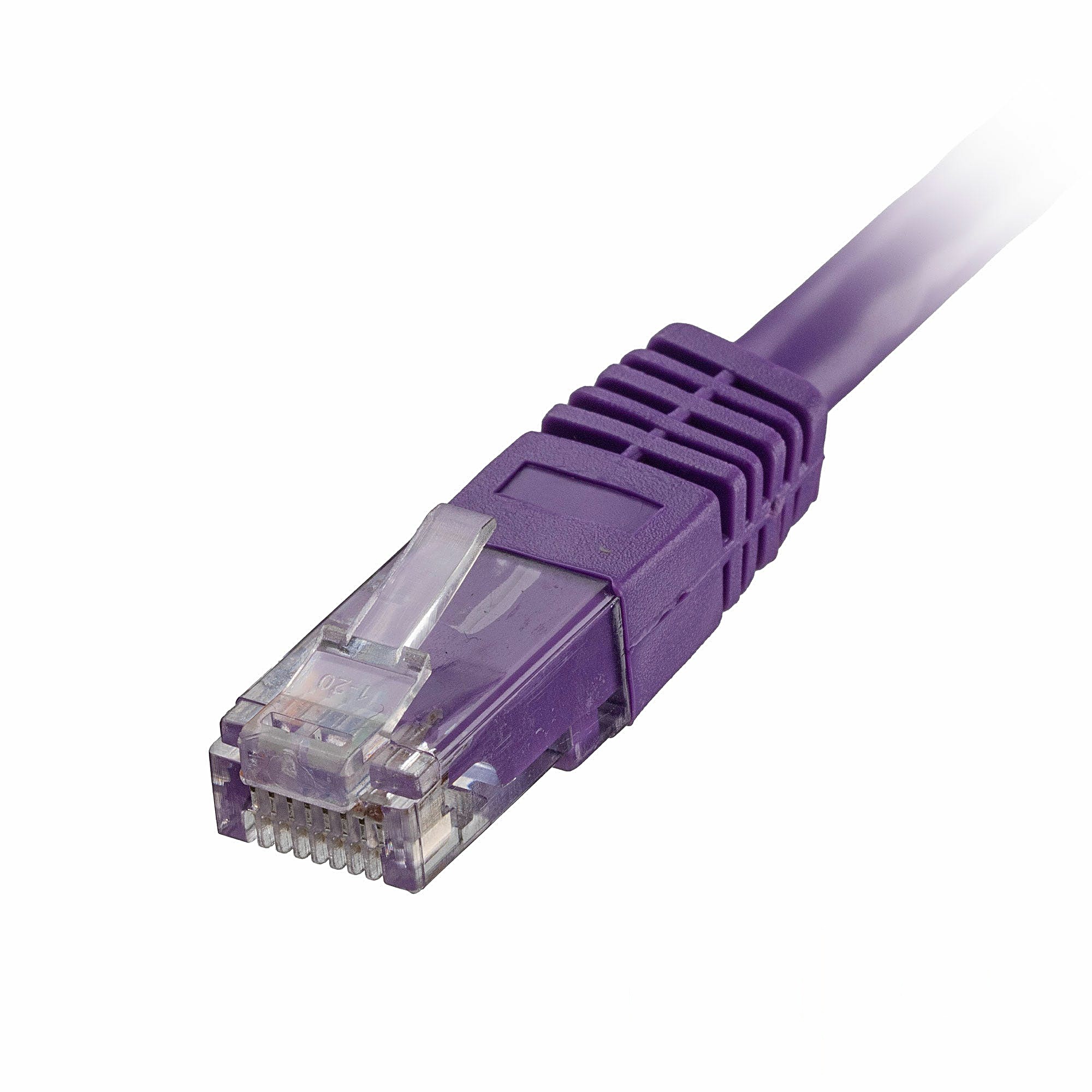 100 Pack of 1m CAT5e U/UTP Network Cables Violet 26AWG
