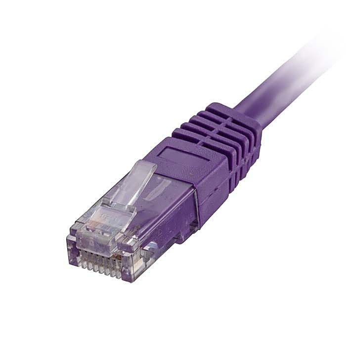 50 Pack of 5m CAT6 U/UTP Network Cables Violet 24AWG